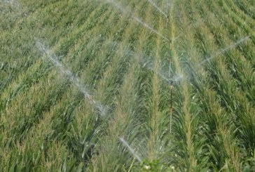 توزر: فلاحون يشتكون عدم اكتمال مد قنوات الري