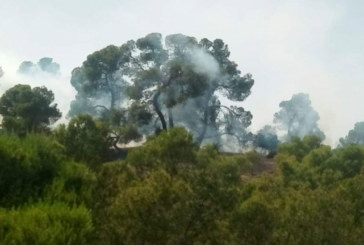 زغوان: السيطرة بنسبة كبيرة على حريق جبل سيدي زيد
