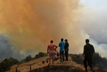 الجزائر: 32 وفاة جراء الحرائق والطريق الدولي نحو تونس مغلق