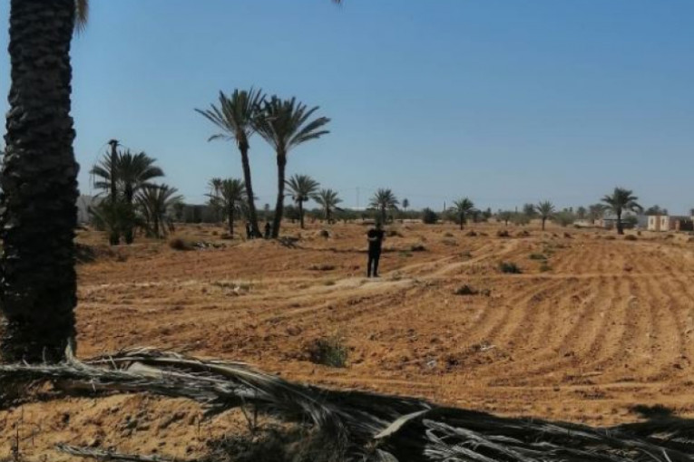 استرجاع عقار دولي فلاحي في جربة