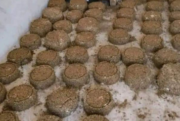 تطاوين: أعلاف بديلة اعتمادا على تثمين مخلفات صناعية وزراعية