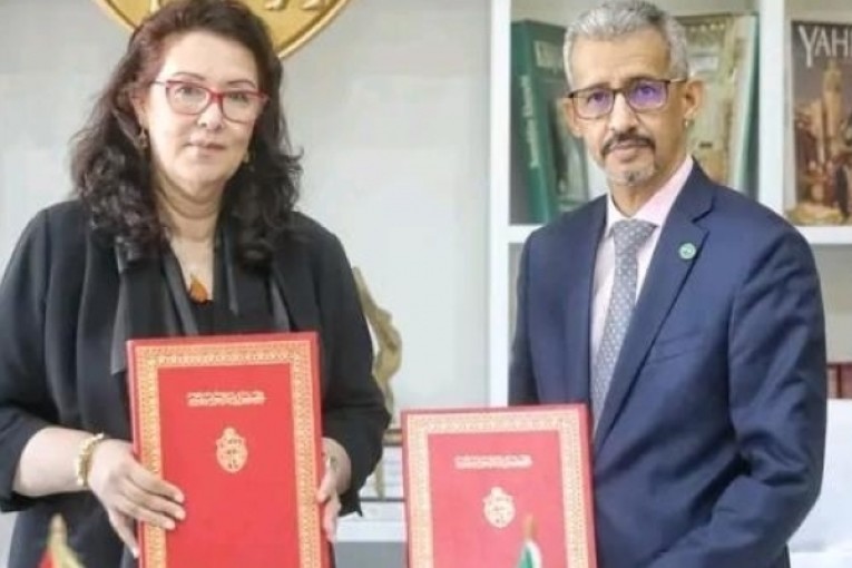 جربة: معرض لفنون الخط والحروفية بمناسبة القمة الفرنكوفونية