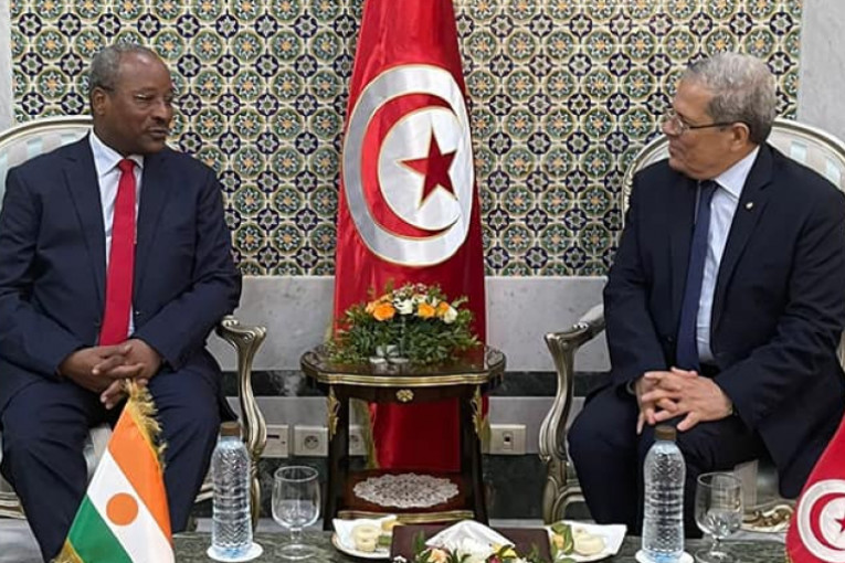 تعزيز التعاون بين تونس والنيجر في لقاء الجرندي بنظيره النيجري