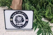 المتلوّي: القبض على شقيقين زرعا القنب الهندي في منزلهما