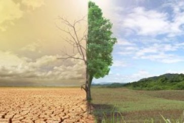 دراسة: 40% من المحاصيل الزراعية العالمية مهددة بالانقراض نتيجة التغيرات المناخية