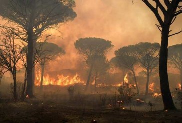 فرنسا تواصل مكافحة الحرائق.. وأوروبا تهبّ لمساعدتها