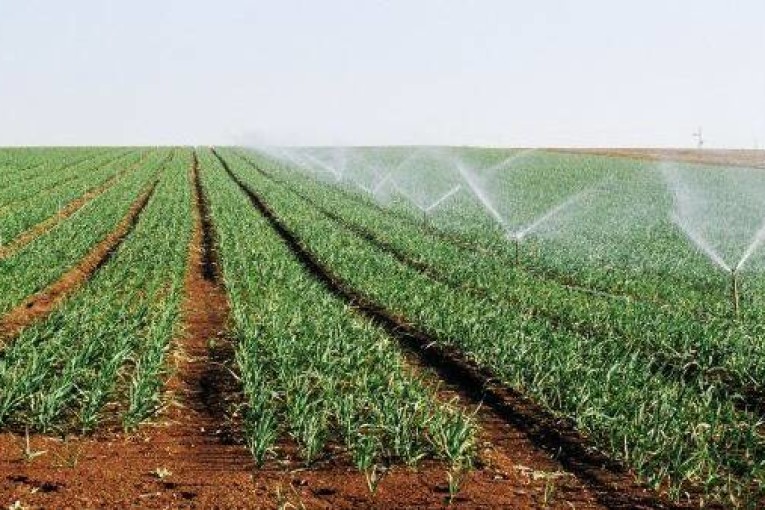 إلى موفى جويلية: ارتفاع قيمة الاستثمارات الفلاحية المُصادق عليها بـ44.7%