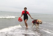 سوسة: حملة لمنع إدخال الكلاب لمياه البحر و منع التحوز المُفرط لشواطئ