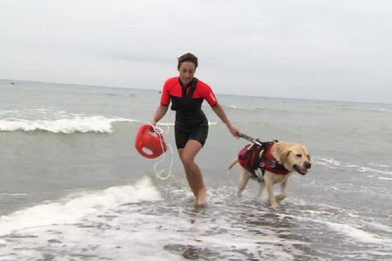 سوسة: حملة لمنع إدخال الكلاب لمياه البحر و منع التحوز المُفرط لشواطئ