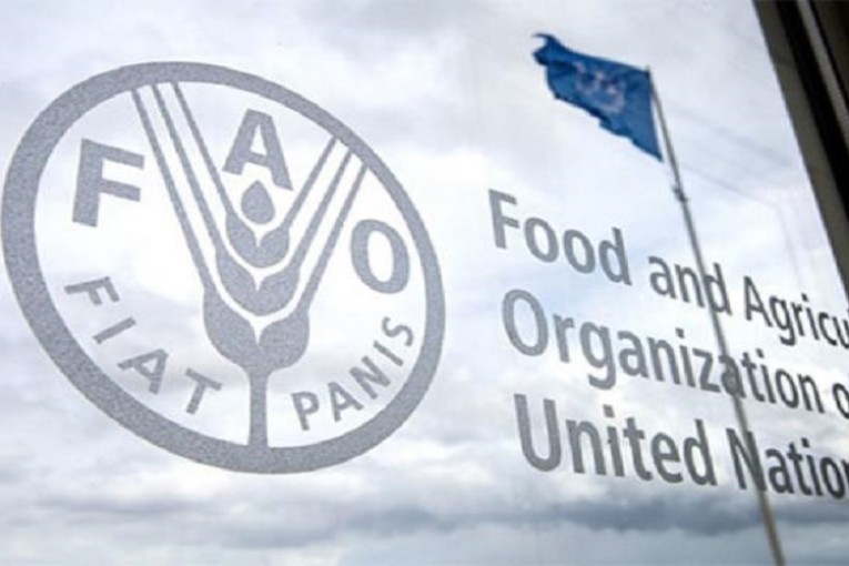 انطلاق أشغال الورشة الإقليمية في تونس حول حماية النباتات في الشرق الأوسط وشمال فريقيا