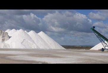 قبلي: عمال البستنة يمنعون شاحنات نقل الملح من العبور إلى مناطق الانتاج بشط الجريد