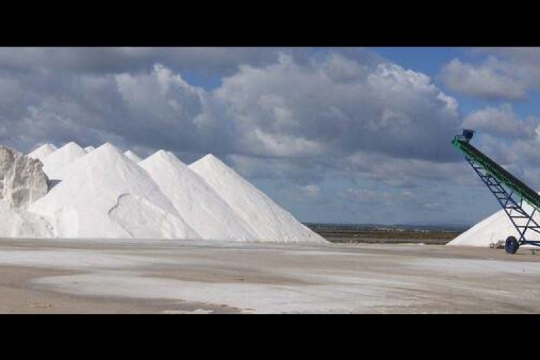 قبلي: عمال البستنة يمنعون شاحنات نقل الملح من العبور إلى مناطق الانتاج بشط الجريد