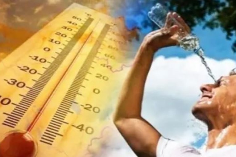 الأجواء الصيفية متواصلة مع ظهور الشهيلي