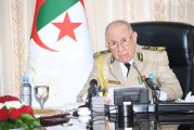 رئيس الأركان الجزائري: زيارة وزير الجيوش الفرنسي تشكل مرحلة حاسمة