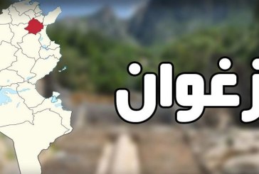 شركة مصرية لتصنيع الأجهزة الإلكترونية تفتتح مصنعا في ولاية زغوان