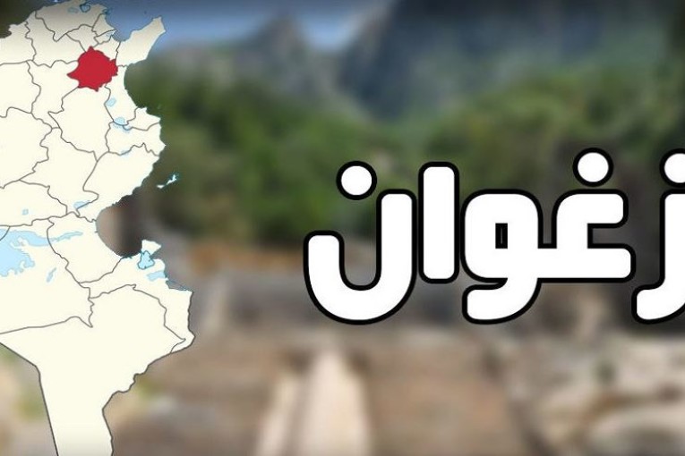 شركة مصرية لتصنيع الأجهزة الإلكترونية تفتتح مصنعا في ولاية زغوان