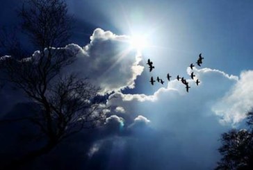 تسجيل أمطار رعدية في الوسط.. وليلة غائمة جزئيا بأغلب الجهات