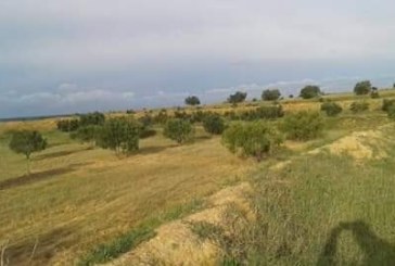 جربة: إسترجاع عقار دولي فلاحي يمسح 8000 متر مربع