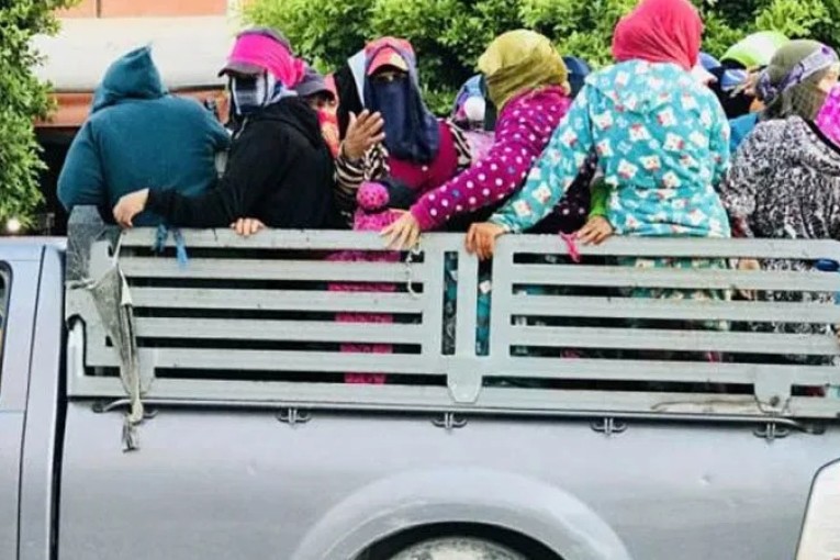 منتدى الحقوق الاقتصادية والاجتماعية يستنكر استمرار تهميش نقل العاملات الفلاحيات بعد وفاة عاملة فلاحية في حادث بسيدي بوزيد