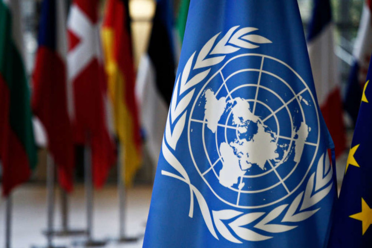 الأمم المتحدة تدعو إلى تسهيل عملية إيصال المنتجات الزراعية الروسية إلى الأسواق العالمية