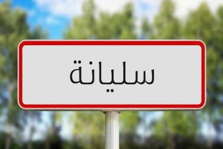 سليانة: تضرر هكتارات من أشجار التفاح بسبب الجفاف ونقص مياه الري