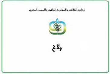 تدعو إلى اتخاذ التدابير اللازمة لمنع العدوى.. وزارة الفلاحة تسجل حالات من مرض النزف الوبائي لدى الأبقار