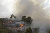 غابات جندوبة: تواصل عمليات إطفاء الحرائق