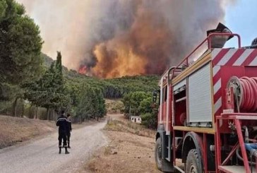 الهوارية: تضرر 100 هكتار جراء حريق غابة زاوية المقايز