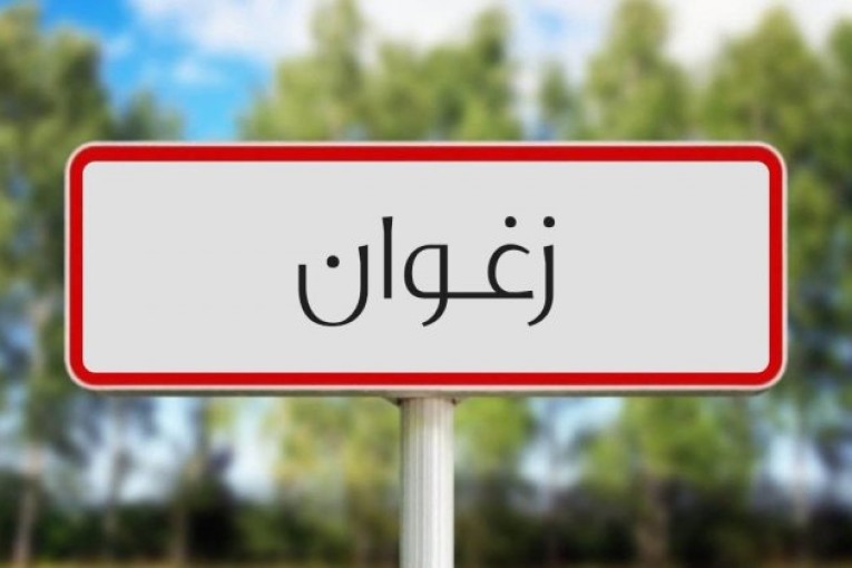 زغوان : إزالة 89 نقطة إنتصاب فوضوي وحجز 357 كلغ لحوم حمراء بالمسلخ البلدي بالفحص