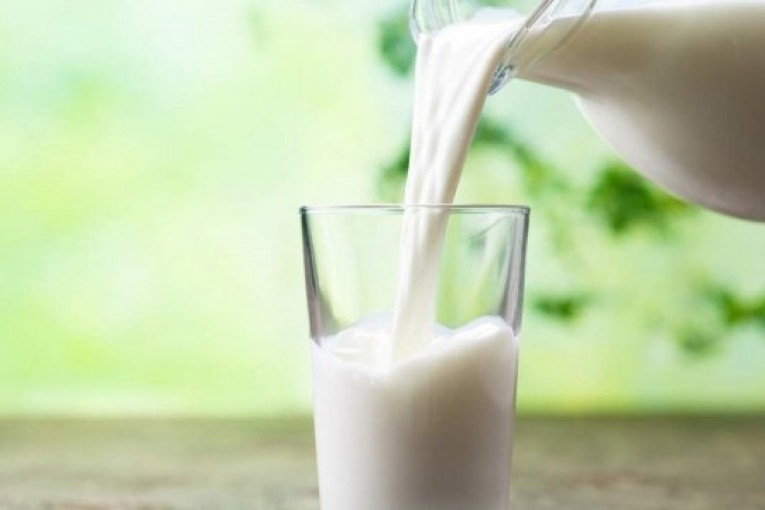 مسؤول : إما الترفيع في سعر شراء الحليب أو اللجوء لتوريده