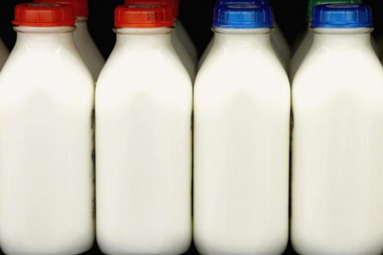 بن عياد يدعو إلى الترفيع في سعر الحليب بـ800 مليم