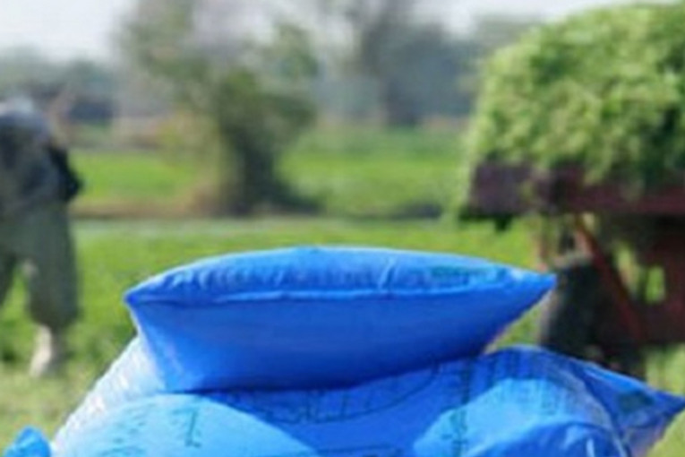 المدير المركزي للمجمع الكيمياوي: جميع الأسمدة الفلاحية متوفّرة