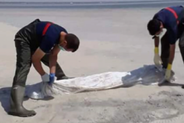 غرق مركب بسواحل الشابة: إنتشال 6 جثث لهاجرين غير نظاميين