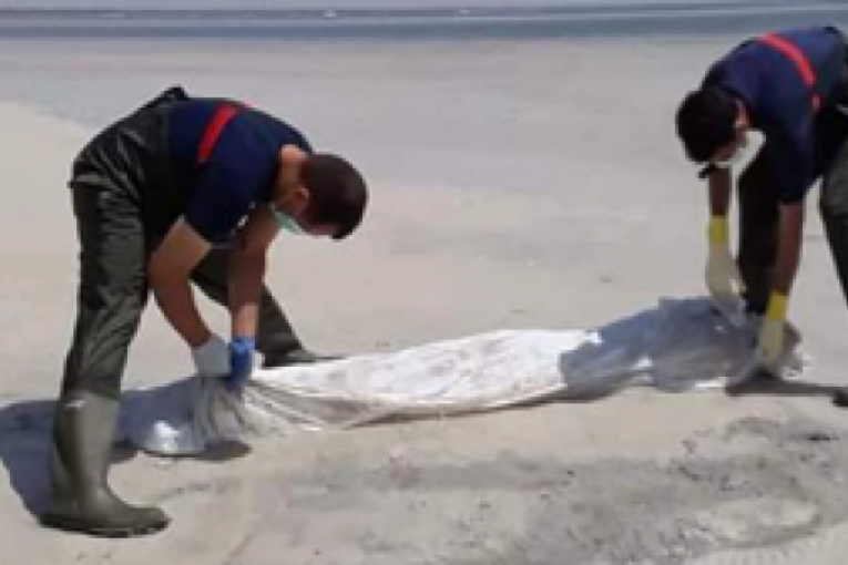 غرق مركب بسواحل الشابة: إنتشال 6 جثث لهاجرين غير نظاميين