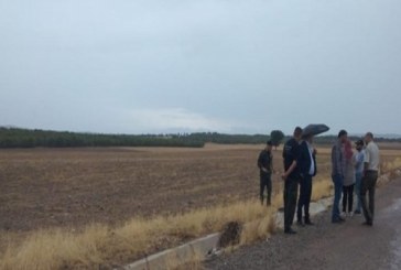 سليانة: استرجاع 4 عقارات دولية فلاحية تمسح حوالي 63 هكتارا بكسرى