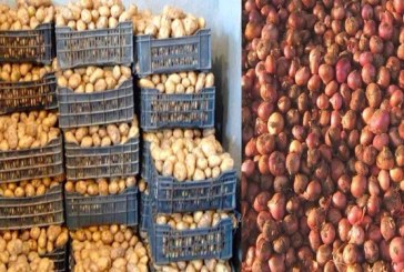 منوبة: حجز 270 طنا من البطاطا و170 طنا من البصل