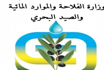 مسؤول بوزارة الفلاحة: سعر الكلغ من العلف 1600 مليم بينما يبيع المربي اللتر الواحد من الحليب بـ 1140