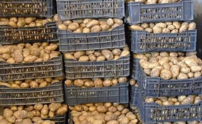 نابل: حجز 3 أطنان ونصف من البطاطا في مخزن عشوائي