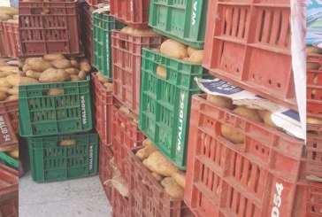 القصرين: حجز أكثر من 33 ألف طنا من البطاطا داخل مخزن