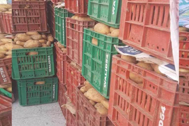 القصرين: حجز أكثر من 33 ألف طنا من البطاطا داخل مخزن