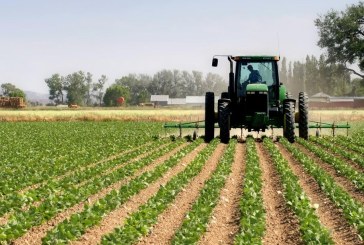 إنطلاق العمل بالمنصّة الرقمية ‘من الفلاّح إلى الفلاّح’ والتطبقية المعنيّة بالتصرّف الرشيد في المستغلاّت الفلاحيّة