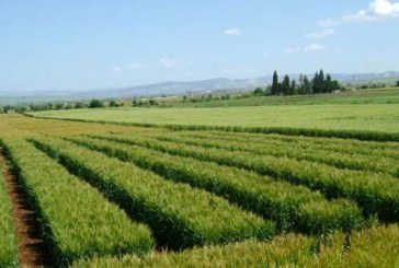 القيروان: استرجاع 3 عقارات دولية فلاحية بمساحة 192 هك