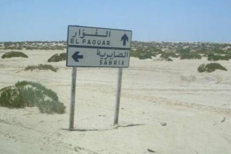 قبلي: بلدية الفوار تواصل انجاز سلسلة من التدخلات للقضاء على النقاط السوداء ورفع الاتربة من الاحياء السكنية