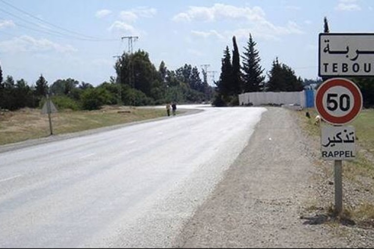 منوبة: قريبا انطلاق دراسات توسعة المستشفى المحلي بطبربة وتطويره الى مستشفى جهوي