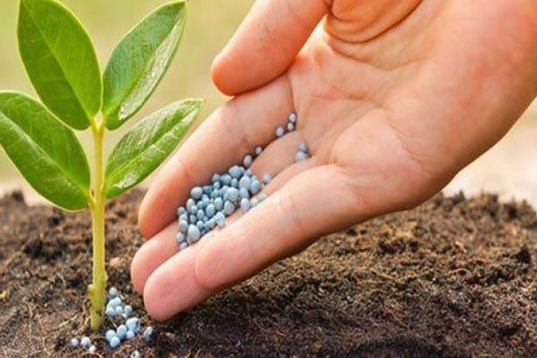 وزارات الفلاحة والتجارة والصناعة: ‘مواصلة العمل بأسعار الاسمدة الكيميائية المعتمدة خلال الموسم الفارط’