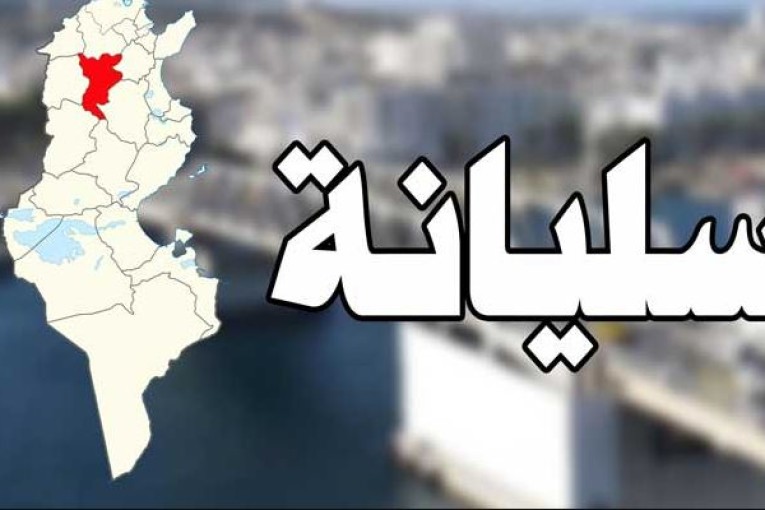 تكليف ليلى الرايس بمهام معتمد أول بولاية سليانة