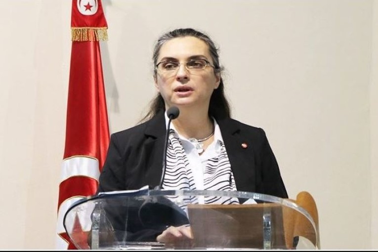 وزيرة البيئة: ‘متجندون لمقاومة التلوث وتجذير ثقافة بيئية ضد النفايات البلاستيكية’