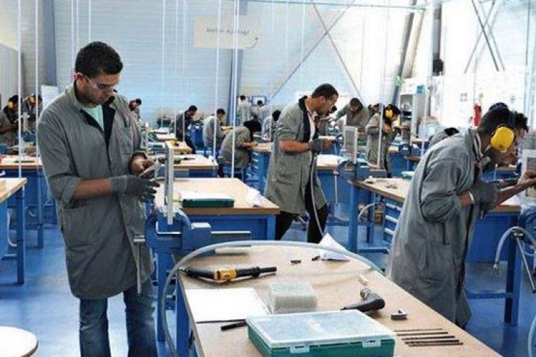 السنة التكوينية الجديدة: ‘توفير أكثر من 48 ألف موطن تكوين بالقطاعين العام والخاص’
