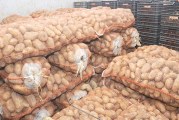 طبربة: حجز 31 طنا من البطاطا