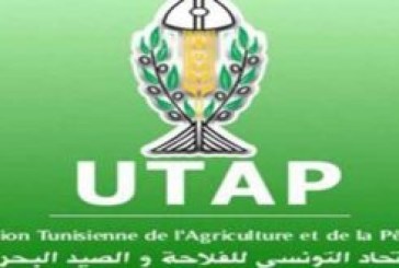 تونس تتلقى دعوة للمشاركة في قمة الأمن الغذائي العالمي بنيويورك